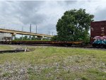 CP 315663